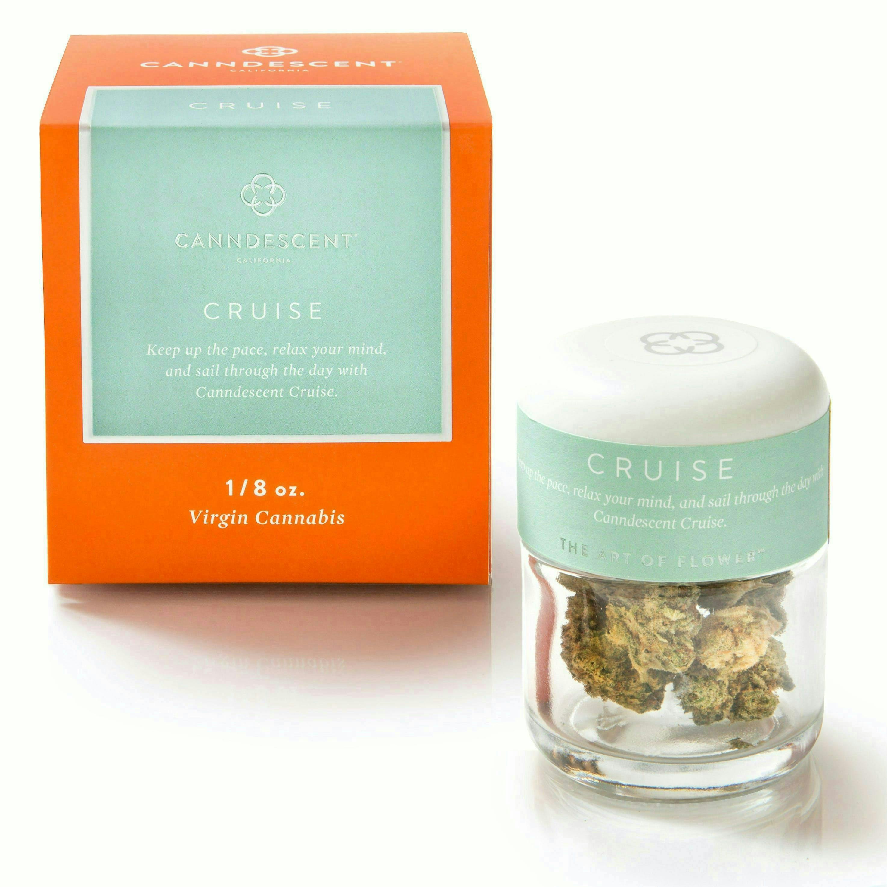 Canndescent - CRUISE | Blueberry Drift | Big Buds | 3.5g - 1