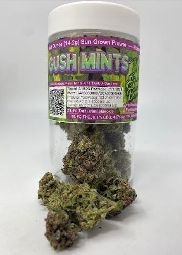 Eighth Brother - Eighth Brother | Gush Mints | Flower Jar | 14g - 1