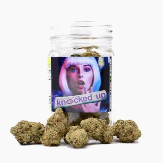 Phat Panda - Bong Buddies | Knocked Up | Smalls | 14g - 1