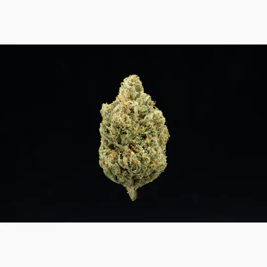 UpNorth - Headband - 3.5g - 1