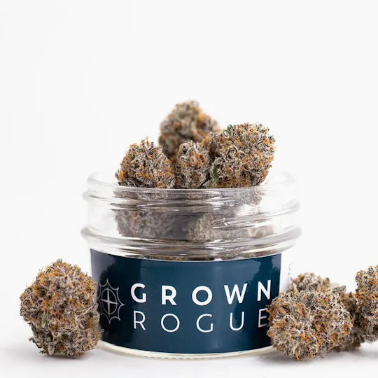 Grown Rogue - Blue Pinot | Big Buds - 1