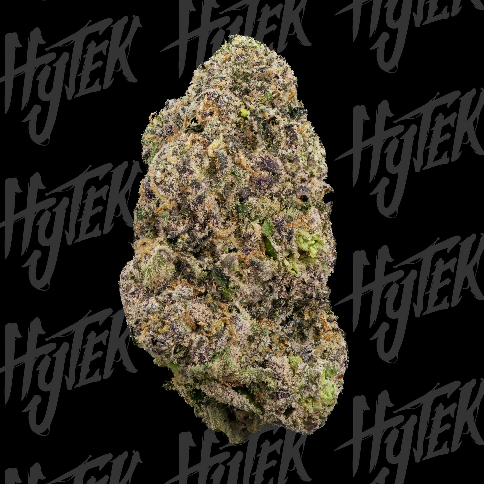 Hytek - HYTEK | VERSACE | BULK DELI FLOWER - 1
