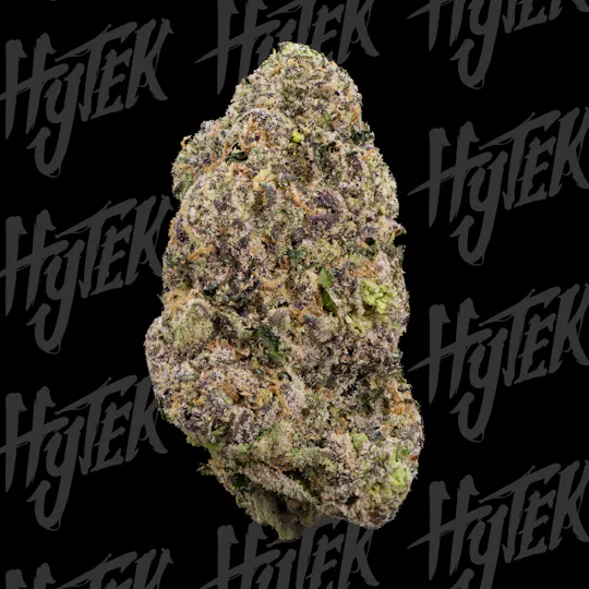 Hytek - HYTEK | VERSACE | BULK DELI FLOWER - 1