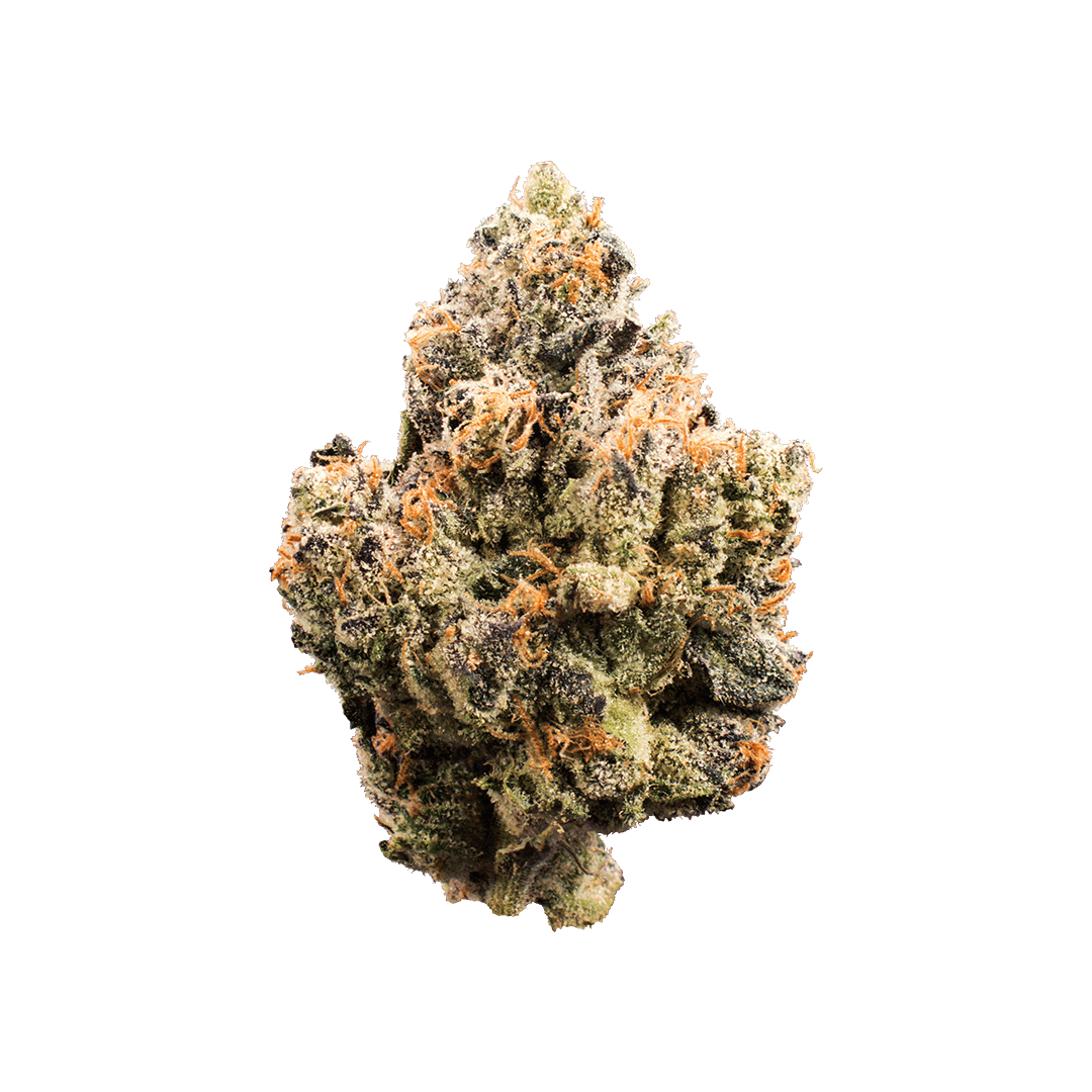 XOTX - Bubble Gum Runtz 14G - 1