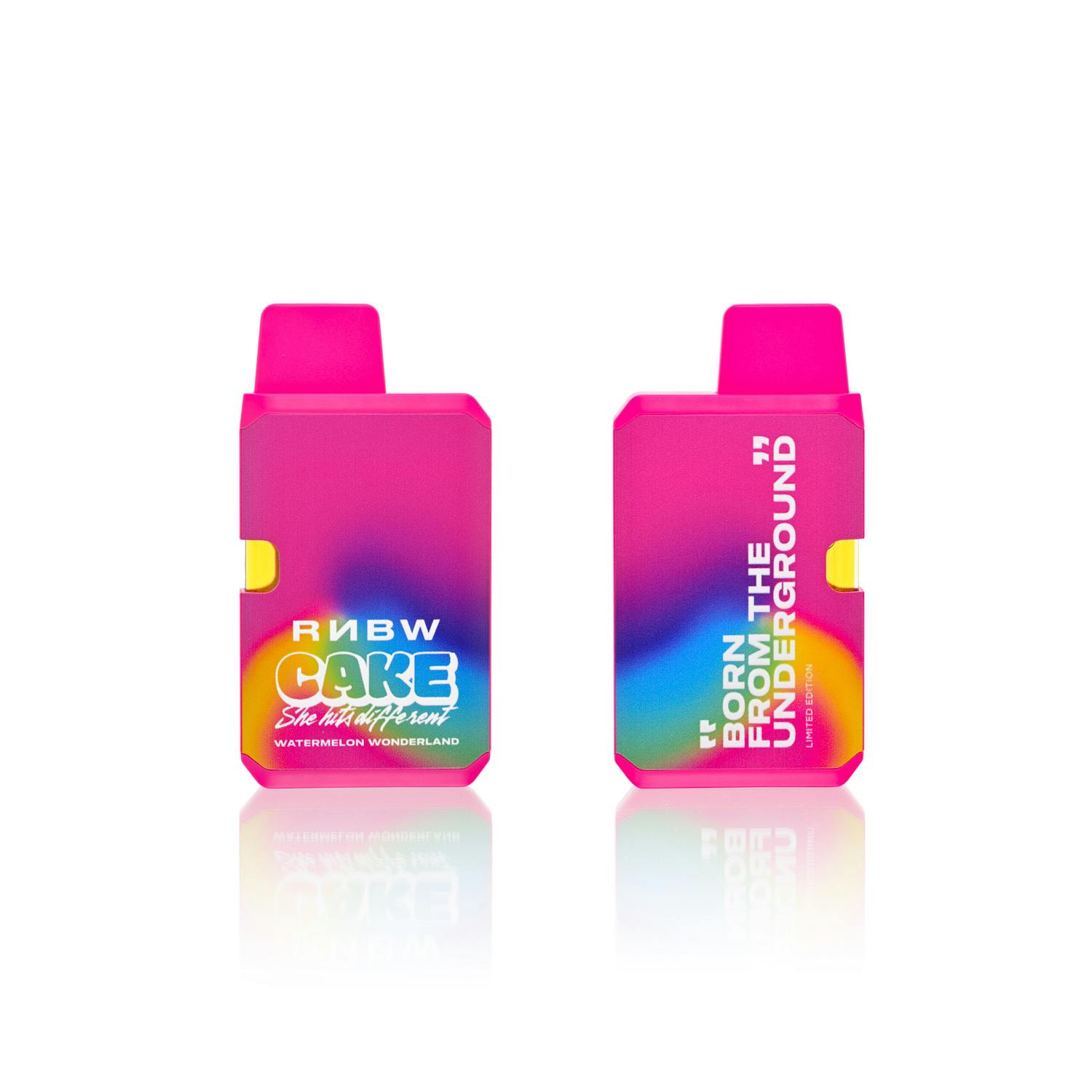 CAKE she hits different - CAKE x RNBW | Watermelon Wonderland | Disposable | 1.25g - 1