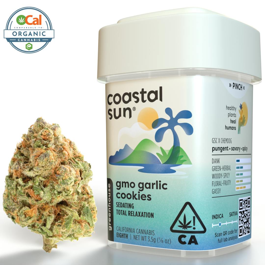 Coastal Sun - GMO Garlic Cookies Greenhouse Flower 3.5g - 1
