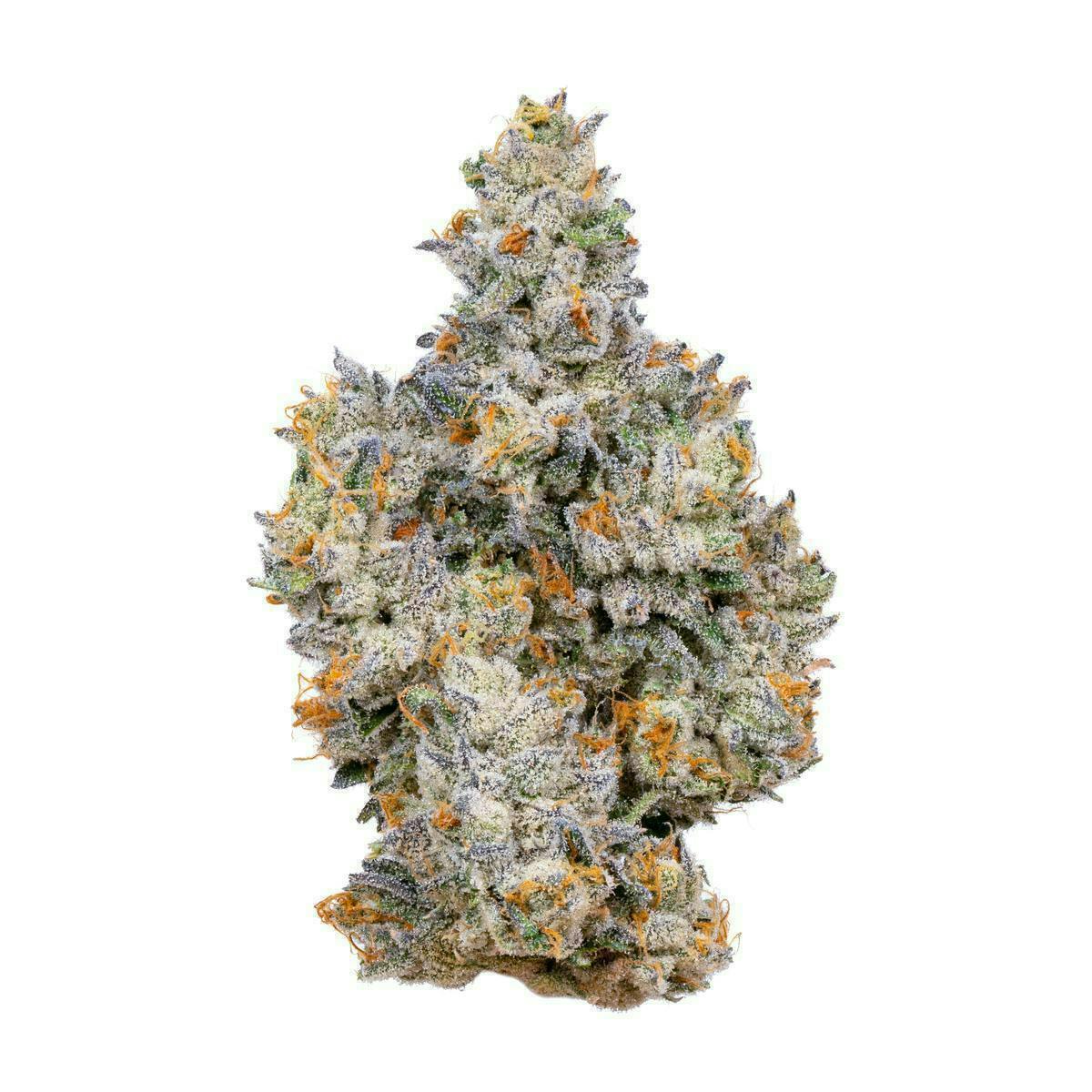 Alien Labs - Gemini | Indoor Flower | 3.5g - 1