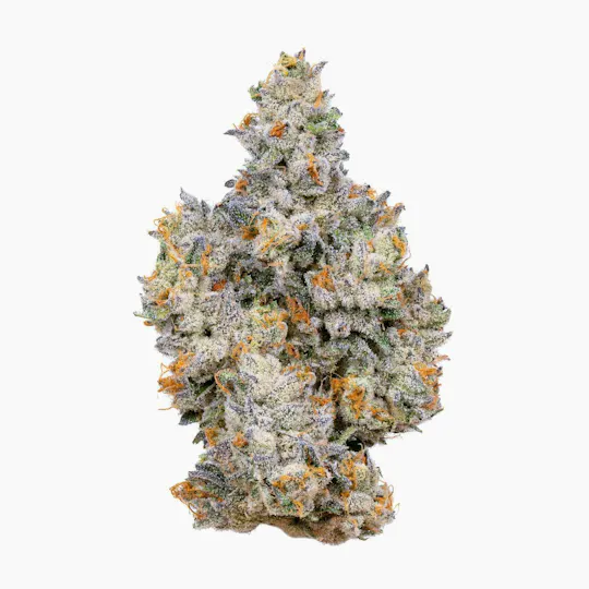 Alien Labs - Gemini | Indoor Flower | 3.5g - 1