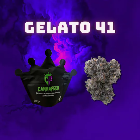 Cannafeen - Cannafeen | Gelato 41 | Big Buds | 3.5g - 1
