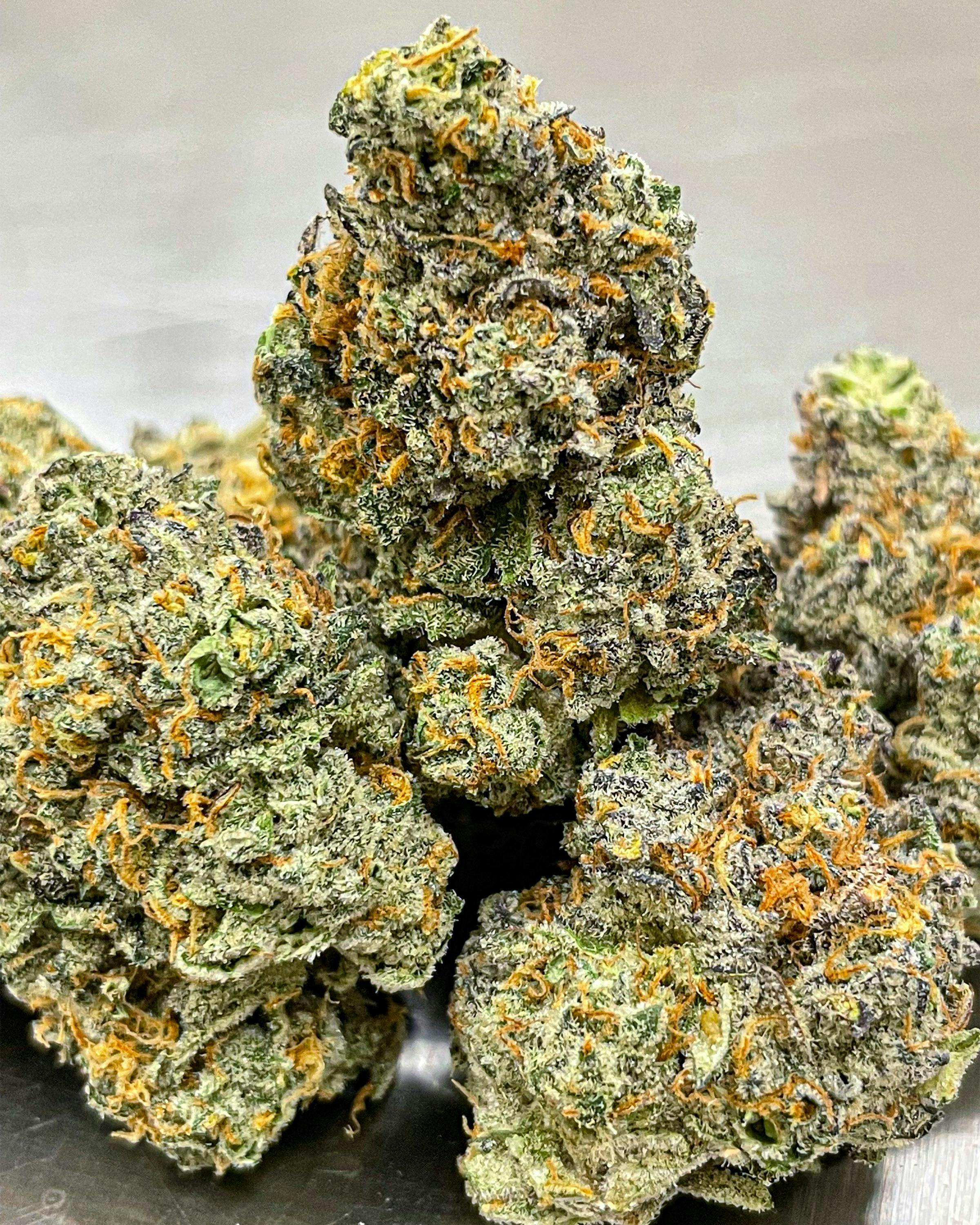 7 Leaf - Scotti's Cake - 1