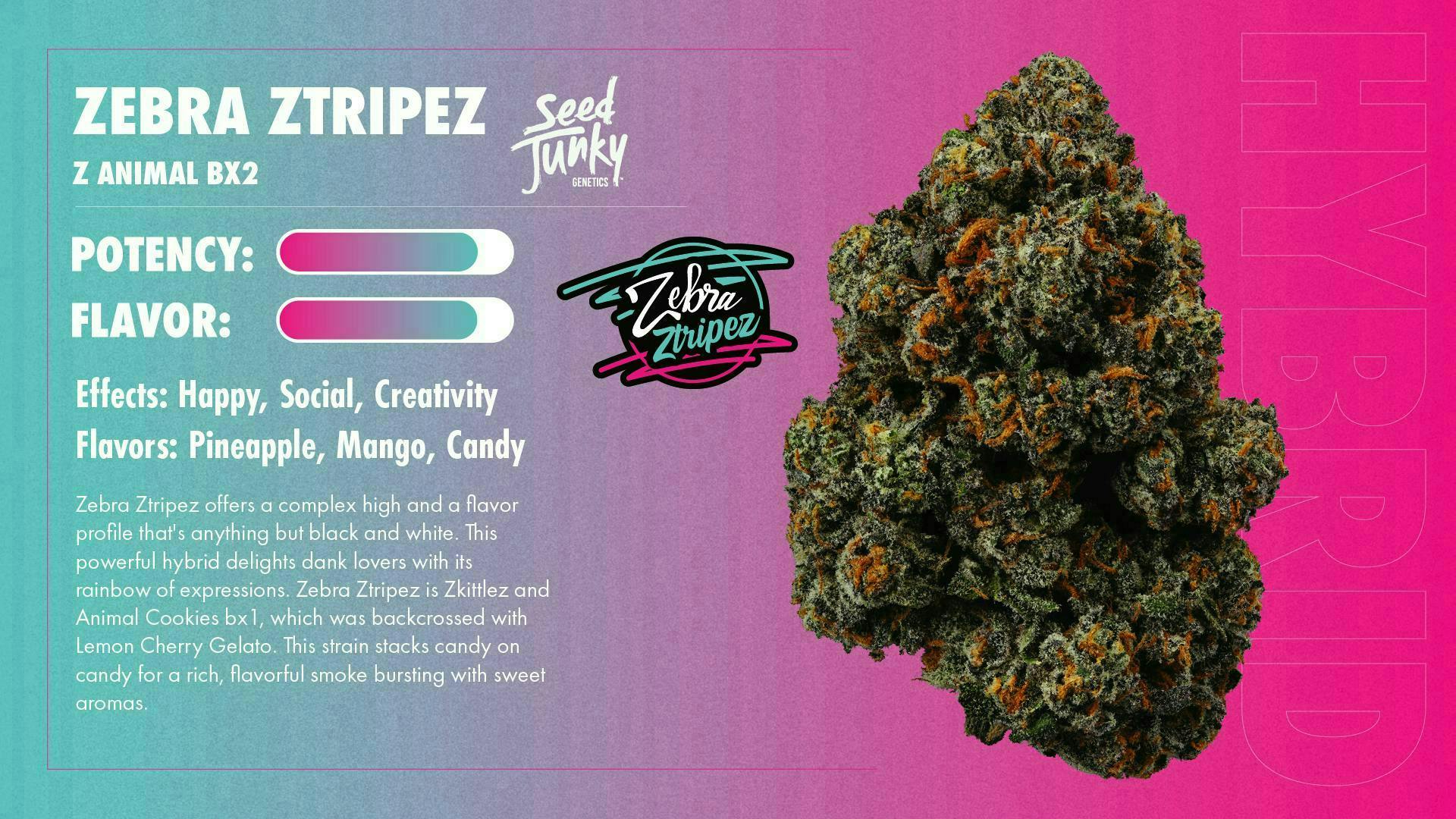 Seed Junky - Zebra Ztripez Mylar | Big Buds | 3.5g - 1