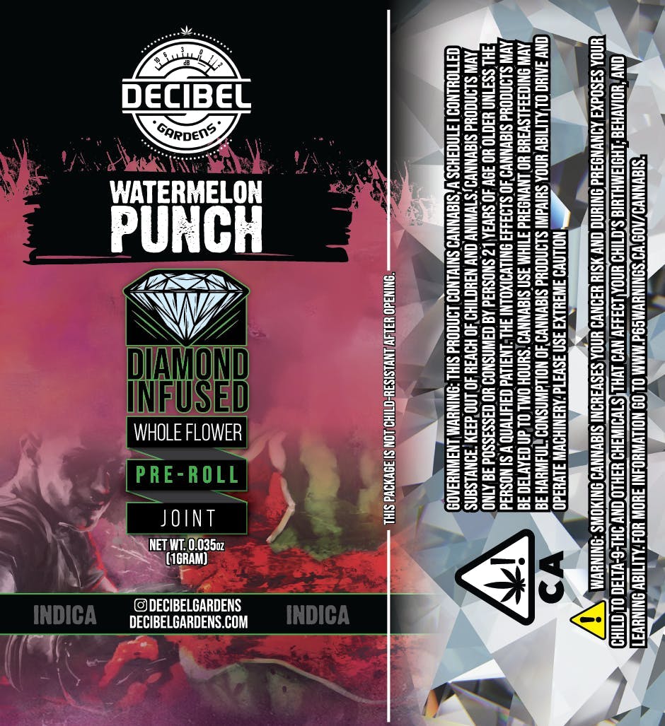 Decibel Gardens - Watermelon Punch | Infused Pre Roll | 1g - 1