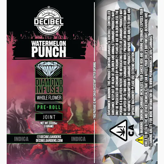 Decibel Gardens - Watermelon Punch | Infused Pre Roll | 1g - 1
