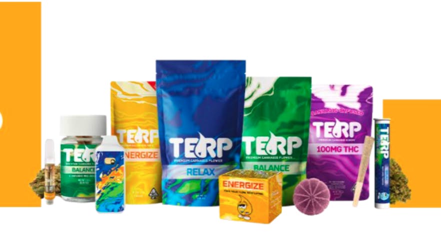TERP Brand - TERP Brand | Wild Berry Gummies | 100mg - 1