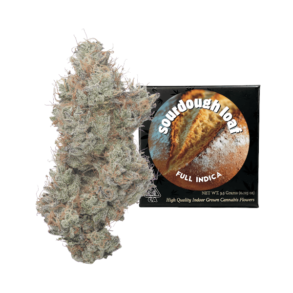 Team Elite Genetics - Sourdough Loaf | Big Buds | 3.5g - 1