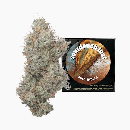 Team Elite Genetics - Sourdough Loaf | Big Buds | 3.5g - 1