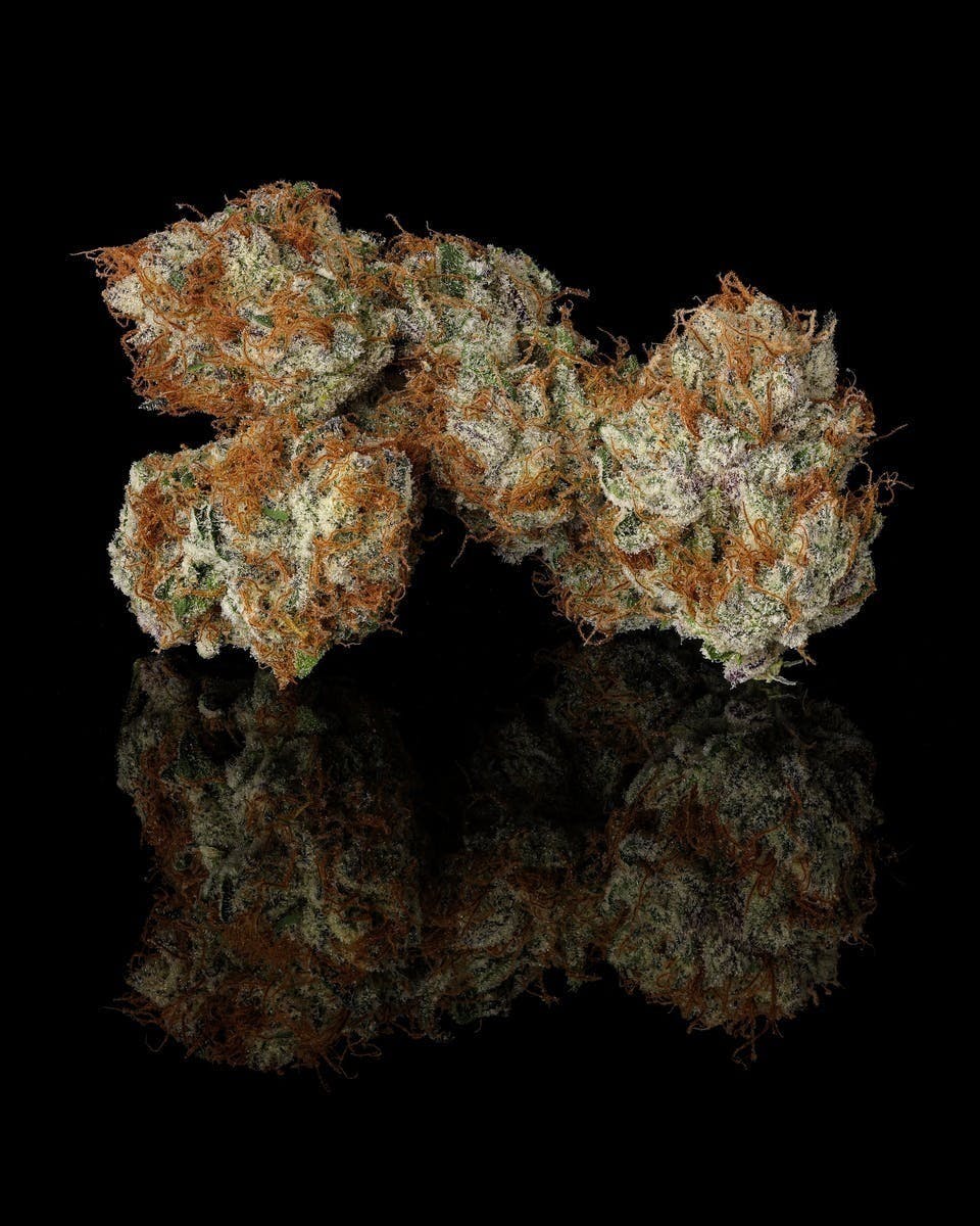Decibel Gardens - Water Peach Sorbet | Indoor Flower | 3.5g - 1