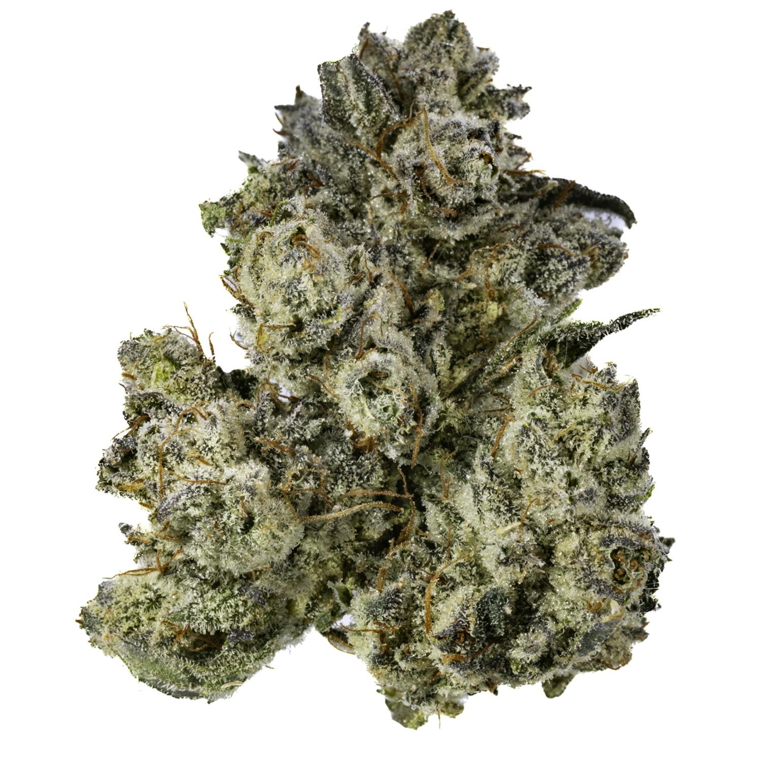 West Coast Cure - Gorilla Grip #4 - 3.5G Bhomb Headstash Flower - 1