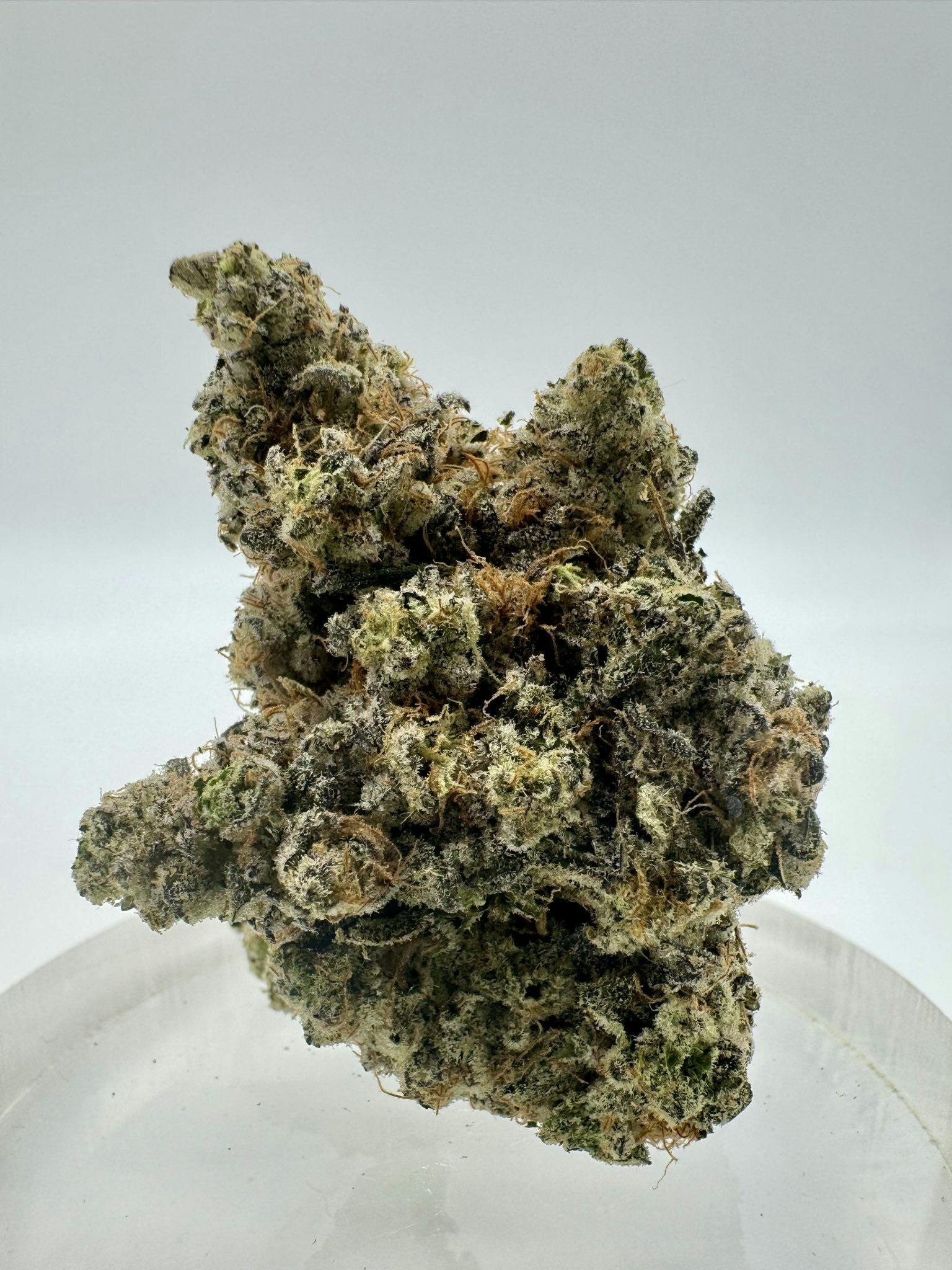 Genuine - LA Pop Rockz | Big Buds (Jar) | 3.5g - 1
