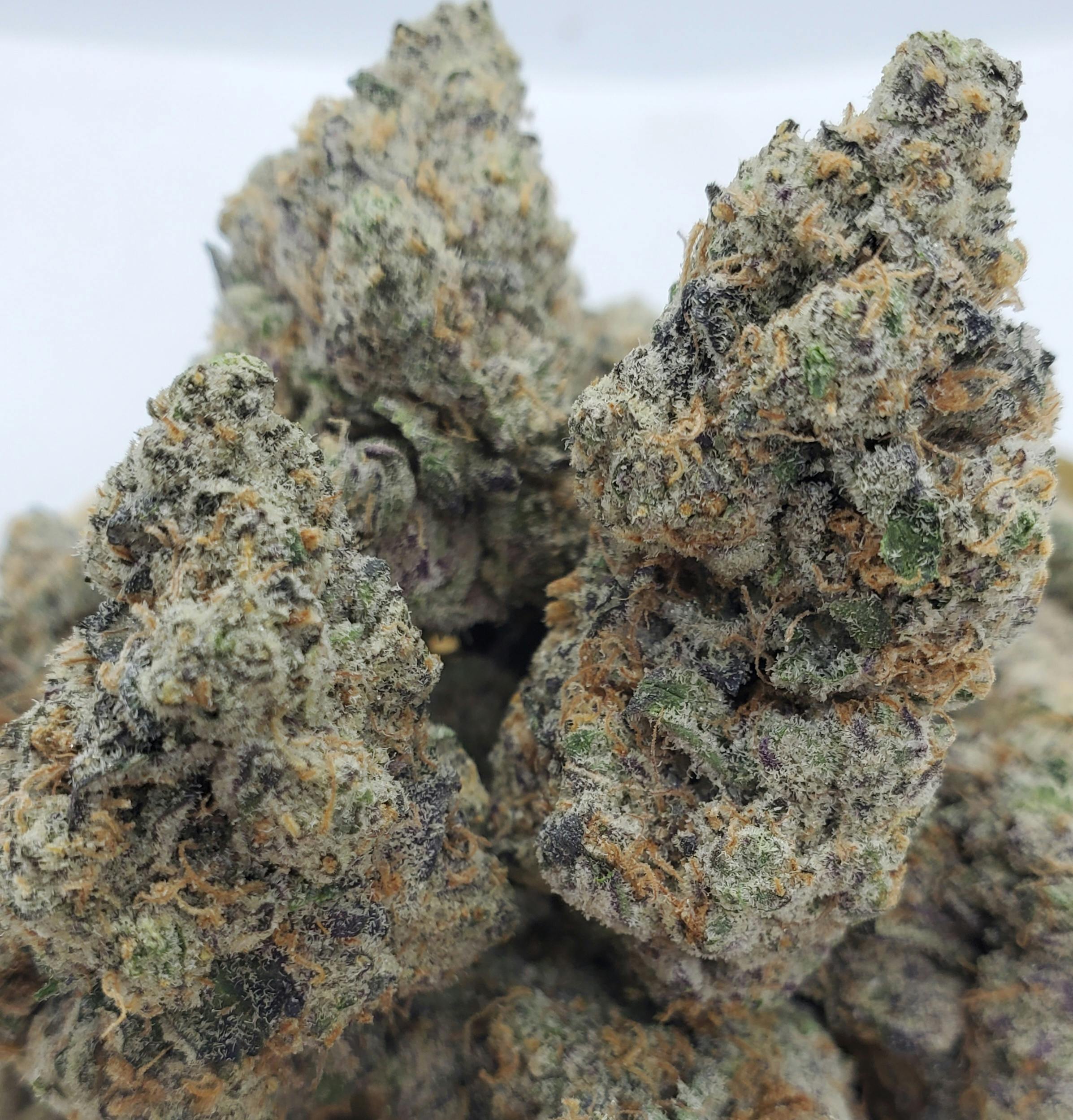 World Class Cannabis - God's Gift - 1