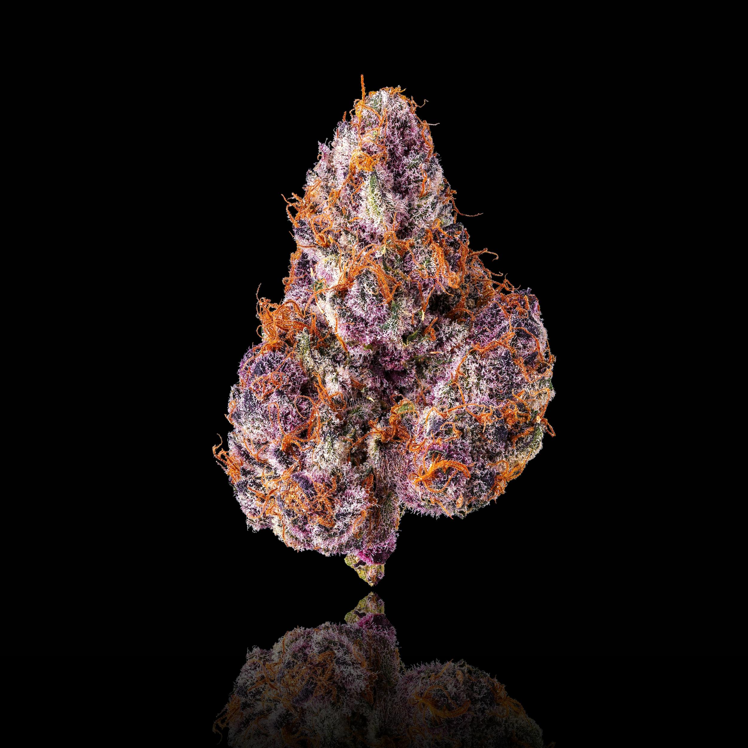 Maven Genetics - Lemon Cherry Tropicana Pre-Roll 5-Pack [2.5g] - 1