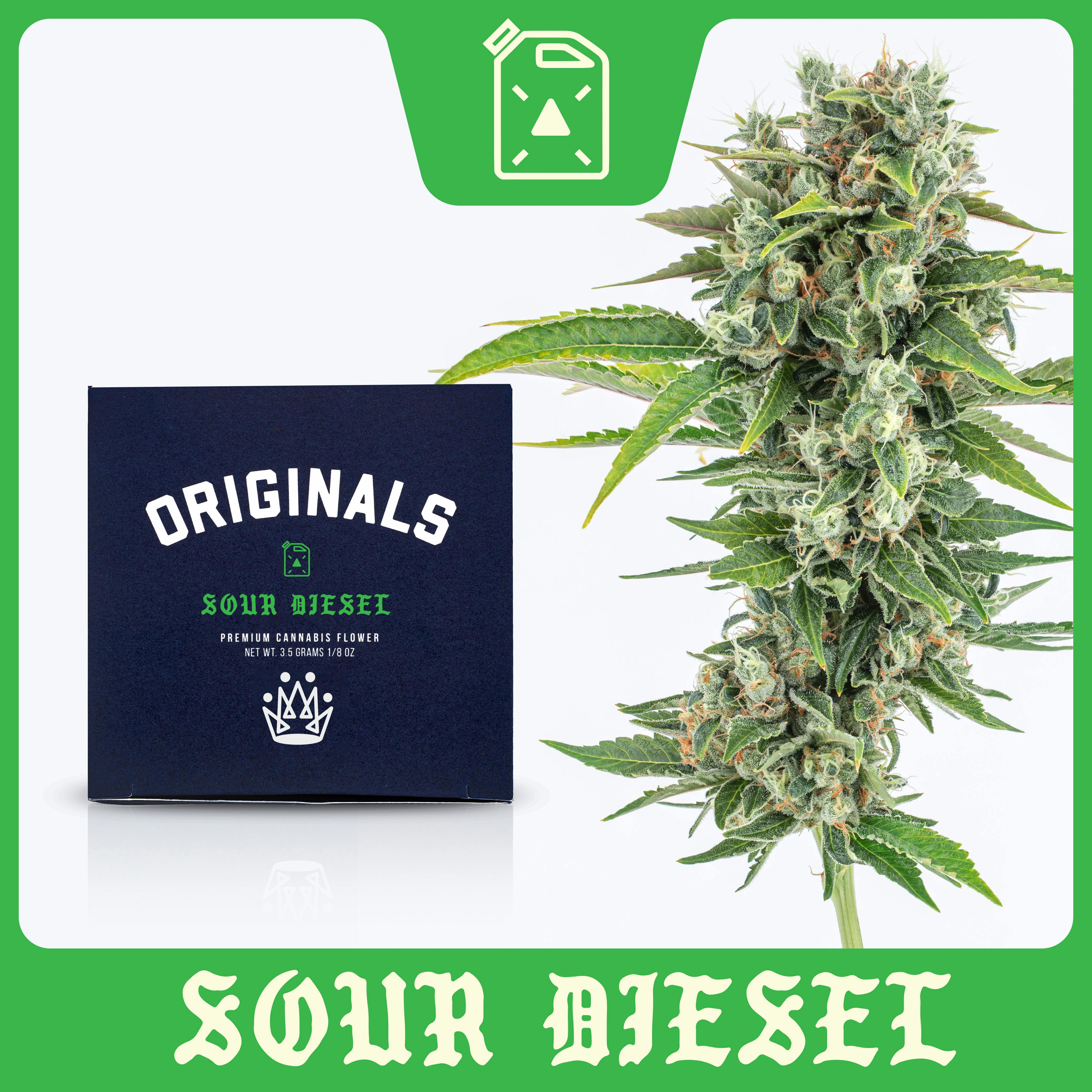 Originals - Originals | Sour Diesel | Big Buds | 3.5g - 1