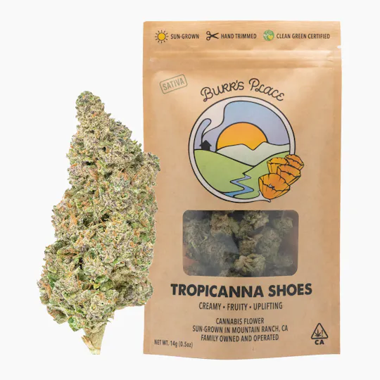 Burr's Place - Tropicanna Shoes | Big Buds | 14g - 1