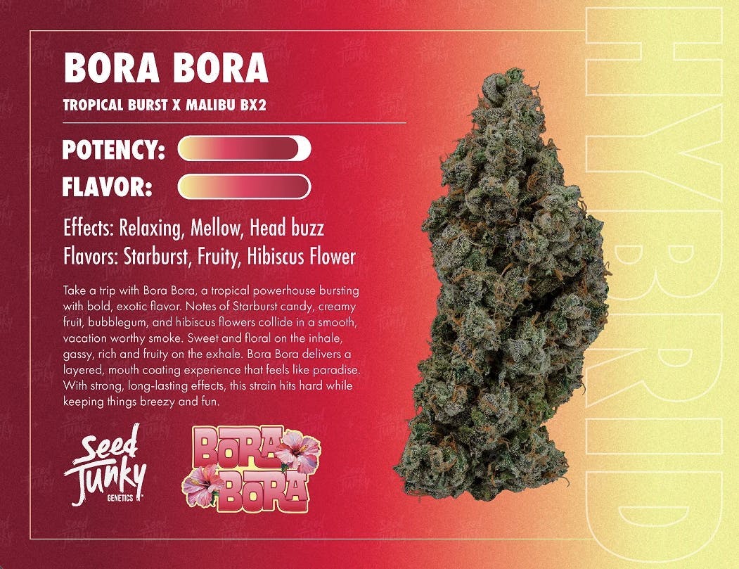Seed Junky - Bora Bora | Big Buds | 7g - 1