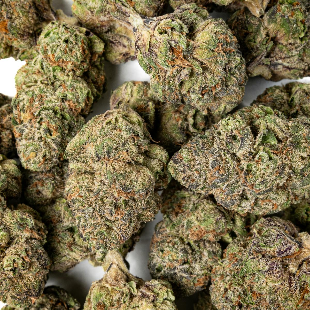 Pacific Stone - Pacific Stone | Blue Z | Big Buds | 28g - 1