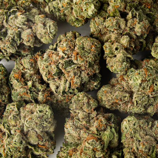 Pacific Stone - Pacific Stone | Cheetah Piss | Big Buds | 14g - 1