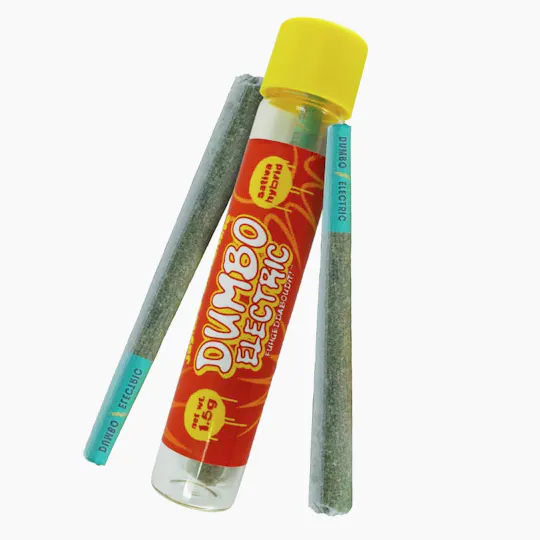 Dumbo Electric - Jayna's Sunshine | Joint | 1.5g - 1