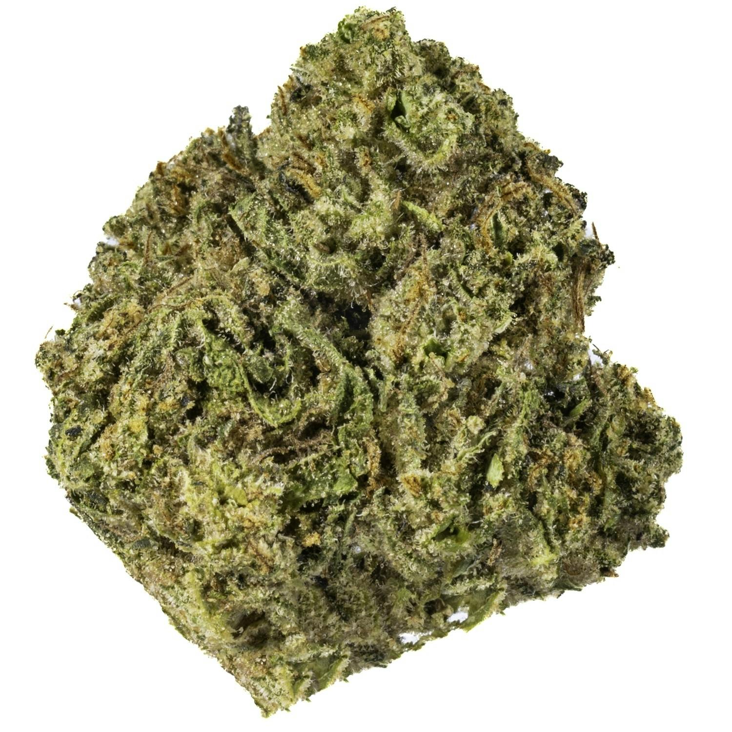 West Coast Cure - Vice City - 14G Premium Flower - 1