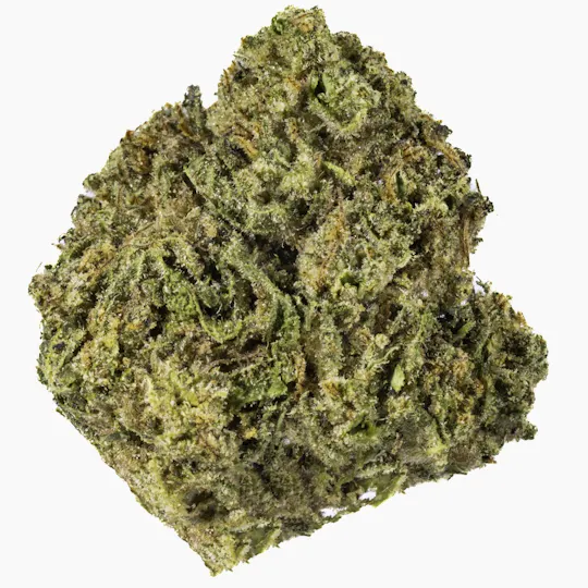 West Coast Cure - Vice City - 14G Premium Flower - 1