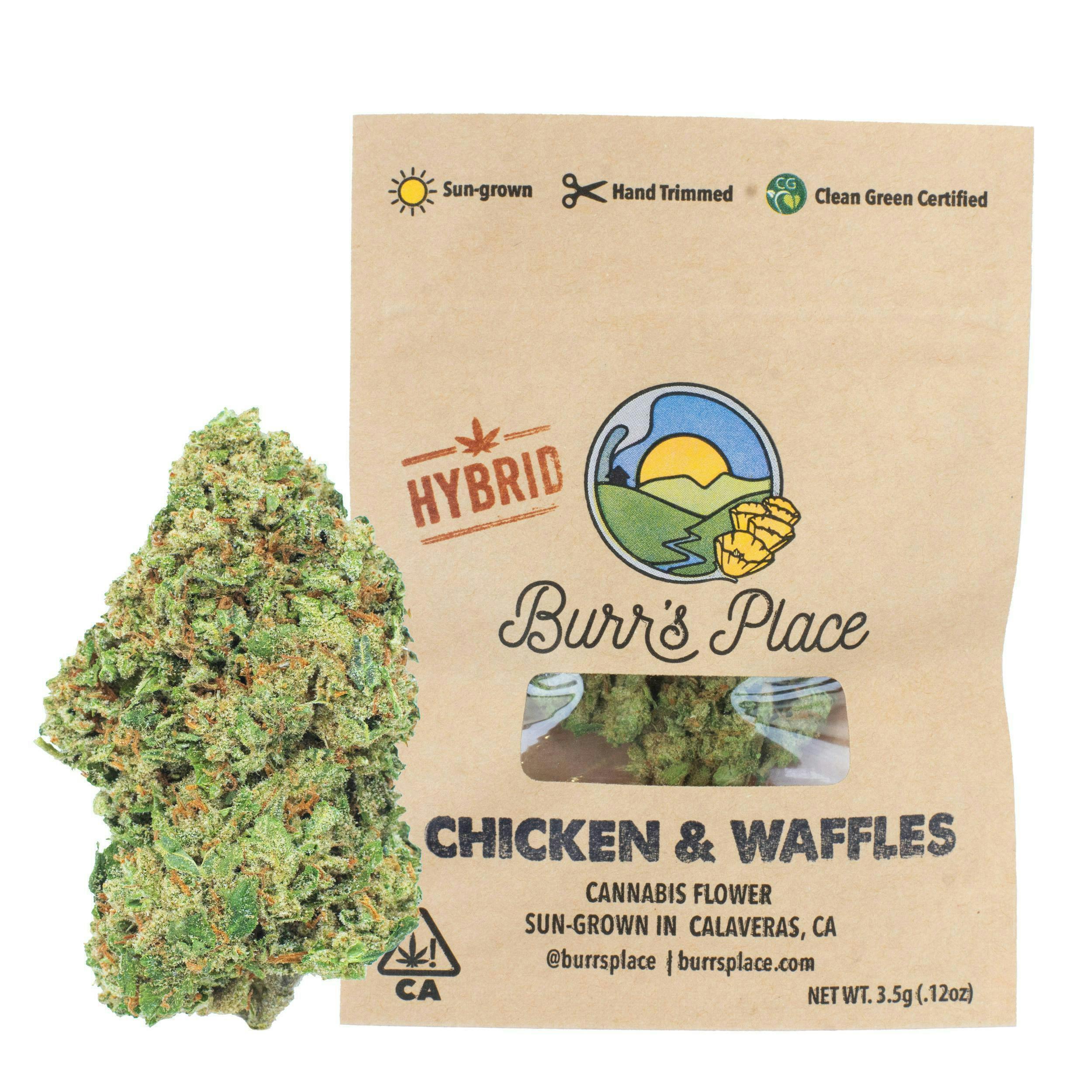 Burr's Place - Chicken & Waffles | Big Buds | 3.5g - 1