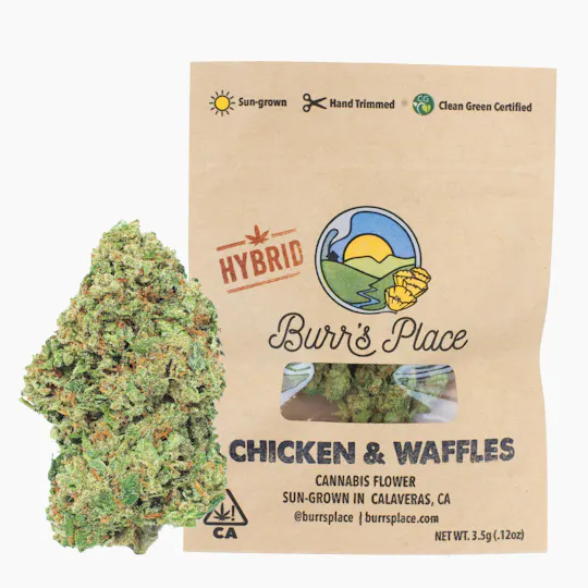 Burr's Place - Chicken & Waffles | Big Buds | 3.5g - 1
