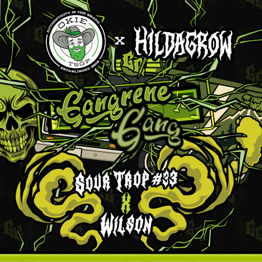 Okie TSGP - Gangrene Gang (Hildagrow) - 1g - Live Hash Rosin Batter - 1