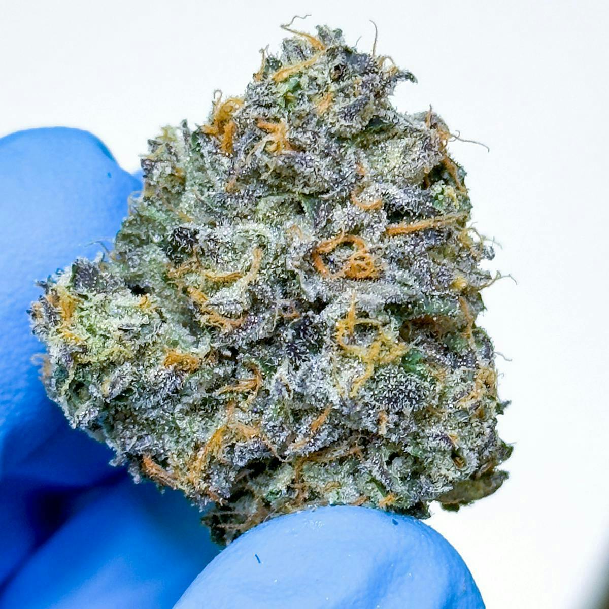 Fig Farms - Fig Farms | Mad Dog 64 | Big Buds - 1