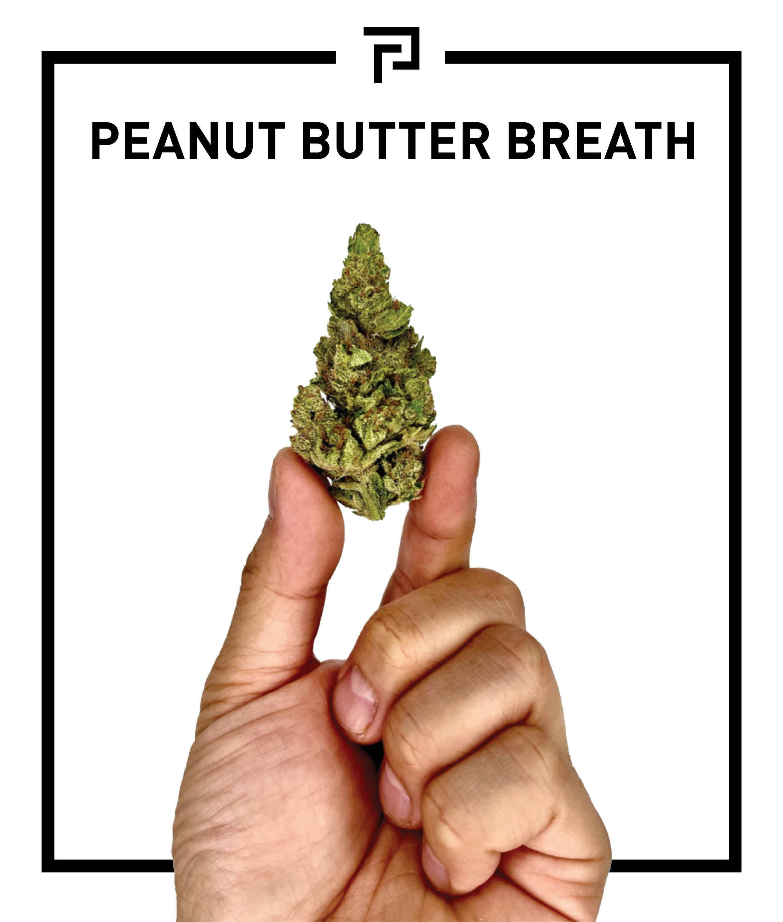 Primitiv - Peanut Butter Breath | 3.5g Flower - 1