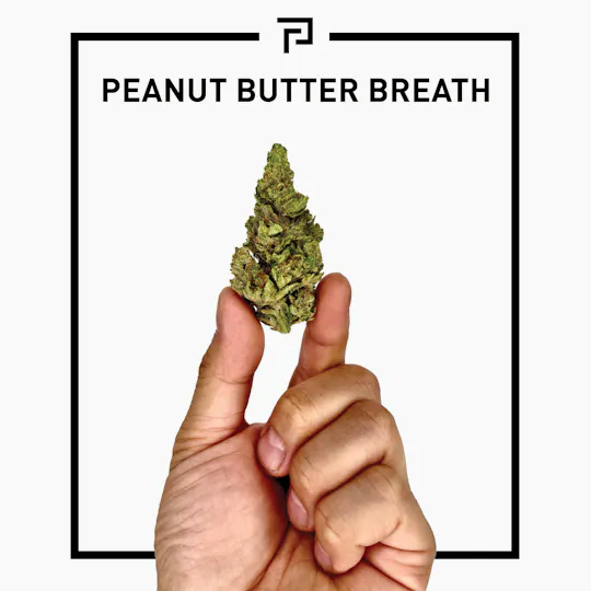 Primitiv - Peanut Butter Breath | 3.5g Flower - 1