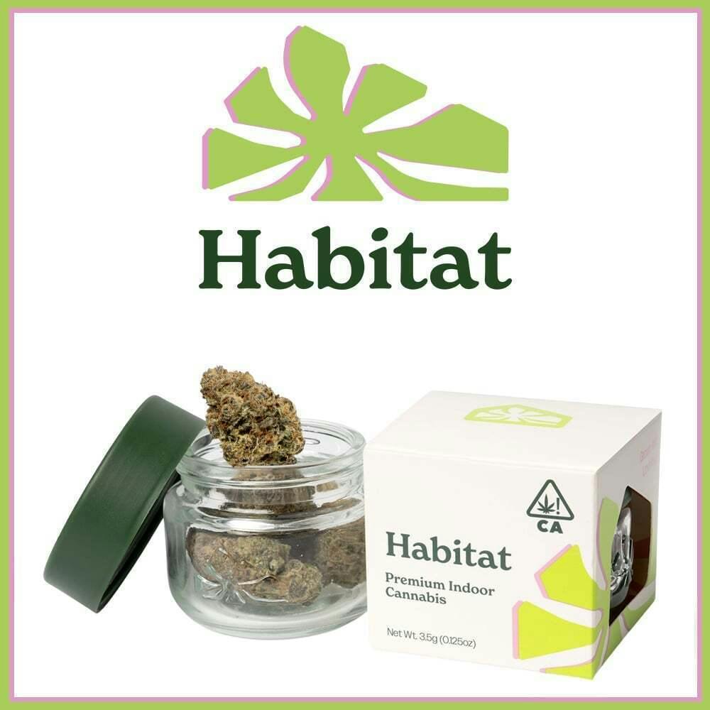 Habitat - Space Lemonade | Big Buds | 1g - 1