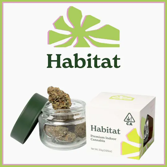 Habitat - Space Lemonade | Big Buds | 1g - 1