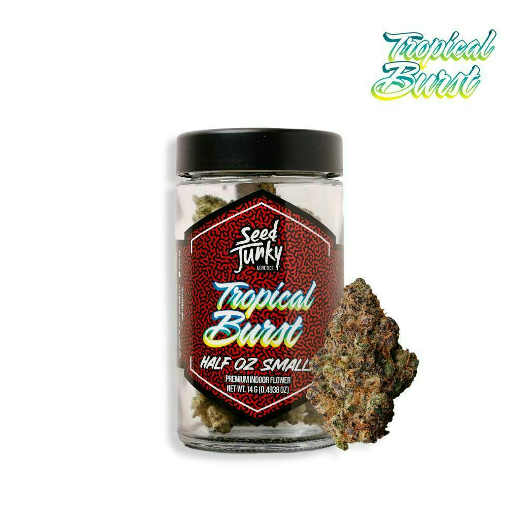 Seed Junky - Tropical Burst | Smalls | 14g - 1