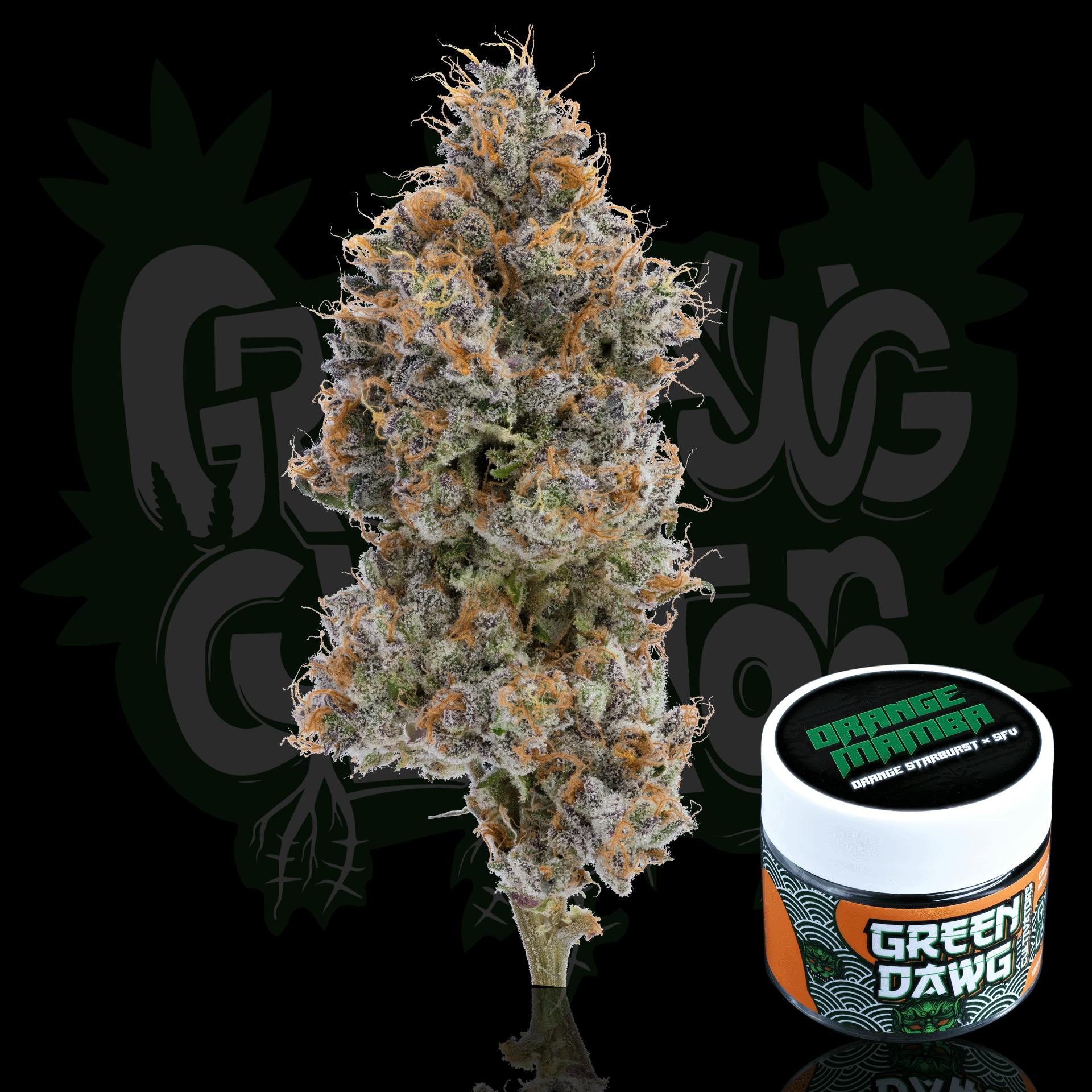 Green Dawg - Orange Mamba | Big Buds | 3.5g - 1