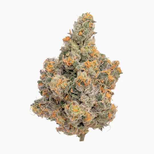 Zero Gravity Cannabis - Flower - Vanilla Frosting 65/35 Indica Dominant - 1