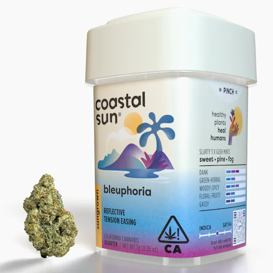 Coastal Sun - Bleuphoria Sungrown Flower 7g - 1