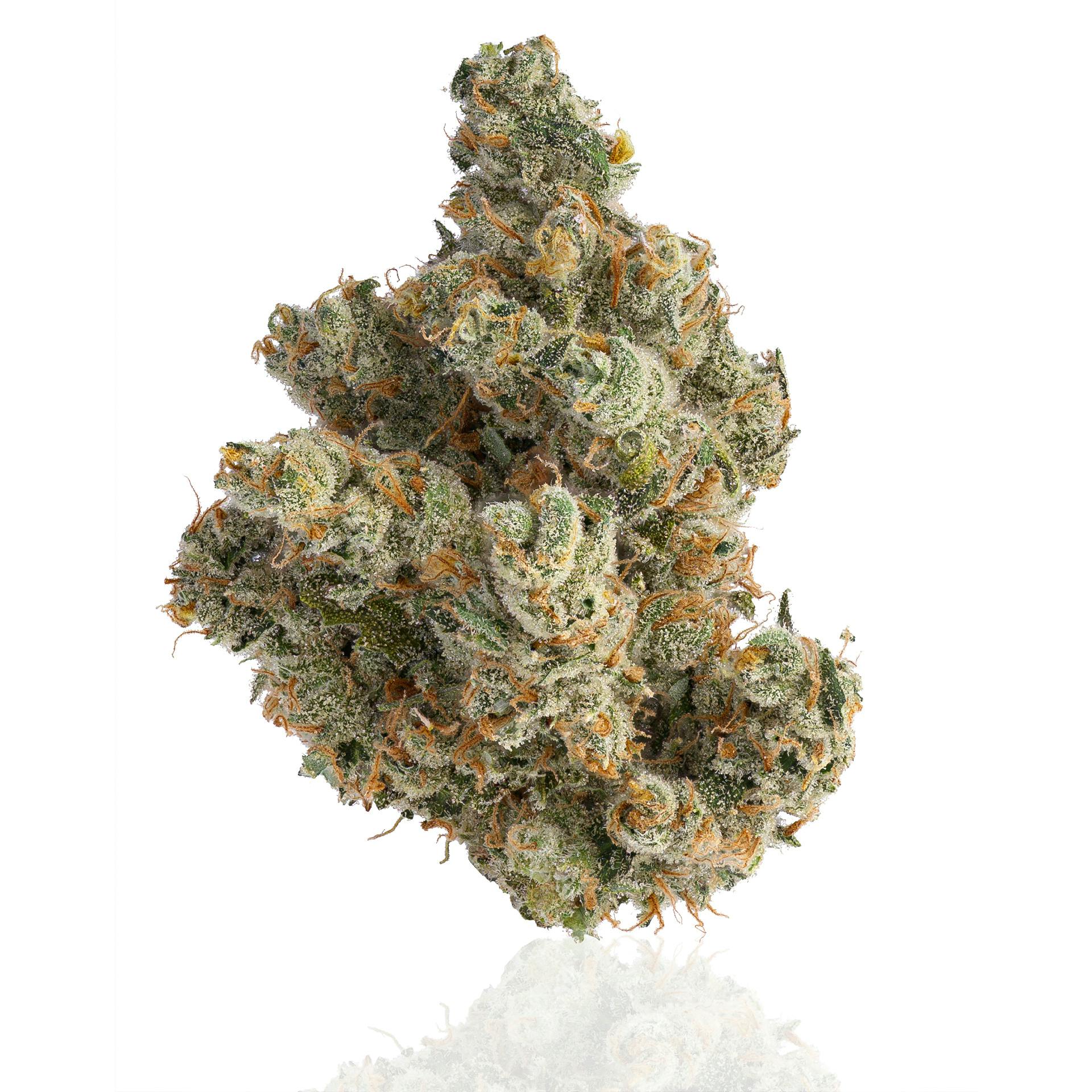 CAM - CAM | Jack Herer | Big Buds | 14g - 1