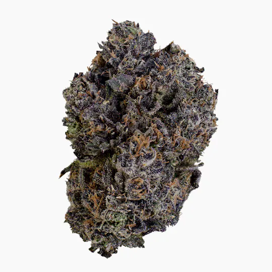 XOTX - XOTX | Strawberry Mango Haze | Smalls | 28G - 1