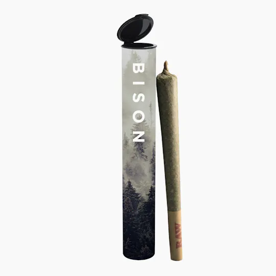 Bison Infused - Bison Sunset Sherbert 1g Pre-Roll - 1