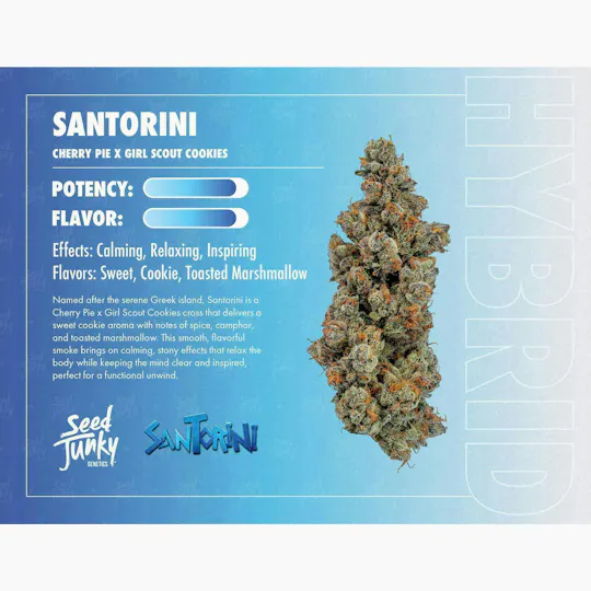 Seed Junky - Santorini | Joint | 1g - 1