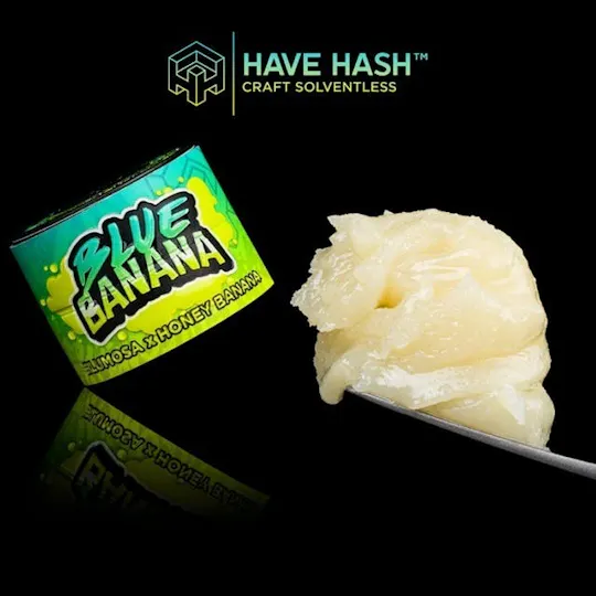 Have Hash - Blue Banana | Tier 1 Live Rosin | 1g - 1
